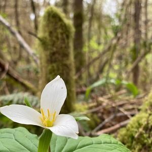 Meet your Posher, T ann